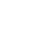 Neptonic System